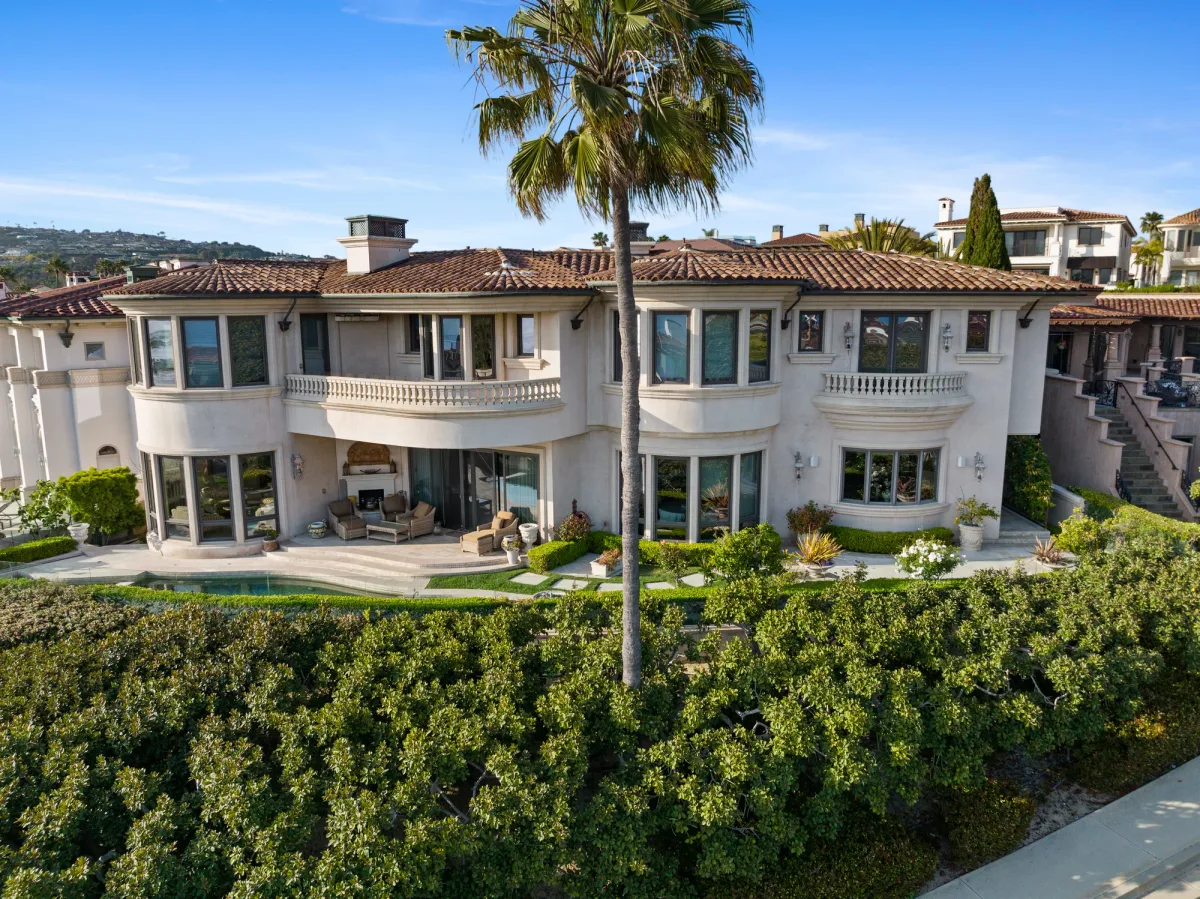 Aerial view of the rear terrace and a tall palm tree